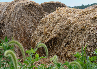 hay bales on a farm