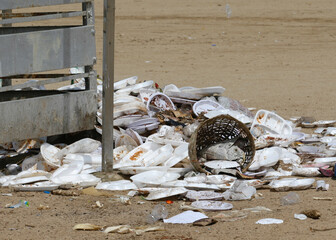 styrofoam garbage on beach