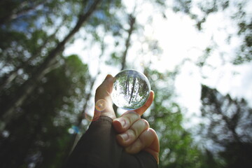 The reflection of a forest in a glass lens ball.
