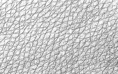 leather texture vector illustration design 