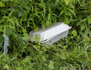 Food Container Littering a roadway