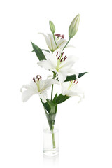 Bouquet of light lilies isolated on white background.