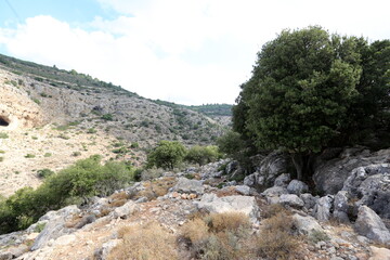 Landscape in the mountains in northern Israel