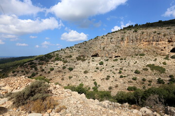 Fototapeta na wymiar Landscape in the mountains in northern Israel