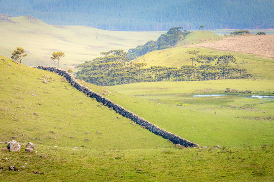 Landscape near Sao Jose dos Ausentes with tapera - southern Brazil