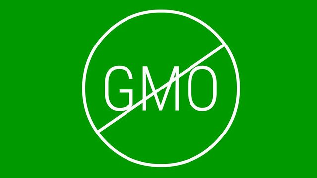Animated white icon GMO free. Non genetically modified foods. Vector illustration isolated on green background.