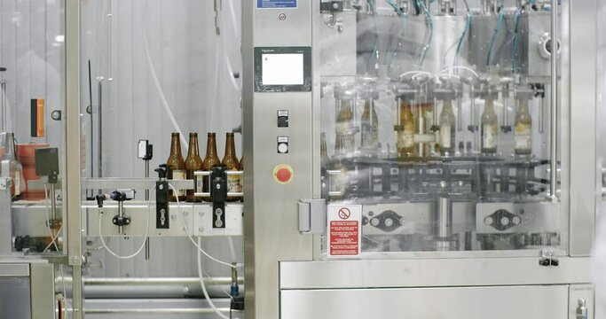 Capping process of full beer bottles. Machine for capping bottles. Factory, brewery concept. Beer bottles on automated machine during capping process. Video of beer bottles moving on a conveyor belt.