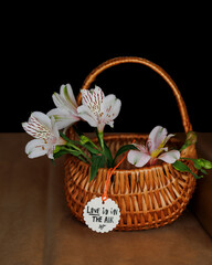 Fototapeta na wymiar wicker basket with alstroemeria flowers on a table on a black background
