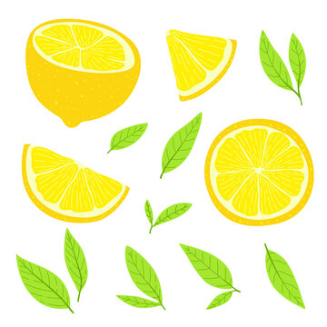 lemon slices with leaves isolated on white