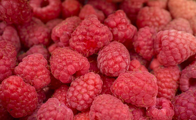 Heap of sweet red raspberries close up. Selective focus