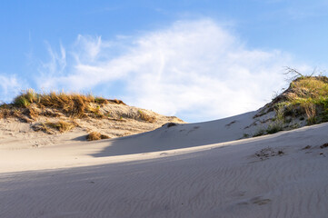 High sand dunes. Picturesque sea shores.