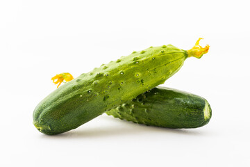 Fresh dry cucumber on pure white background