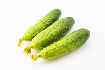 Fresh dry cucumber on pure white background