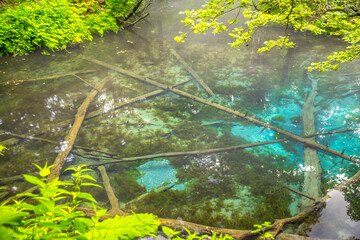 北海道清里町 神の子池　
