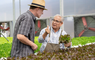 Senior mature man and customer talking about quality of organic vegetables. Hydroponics farm organic fresh harvested vegetables concept