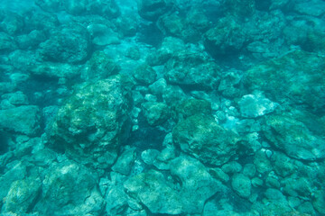Unterwasser - Felsen in blauem Wasser