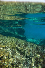 Unterwasser - unter der Wasseroberfläche - Unterwasserwelt - Korallen - Algen