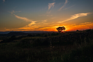 Fototapeta na wymiar Sunset in a field