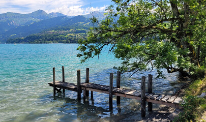 Bootssteg am Thunersee