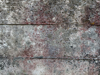 Rough old concrete grey raw wall texture with natural surface grunge patterns and coloured moss 