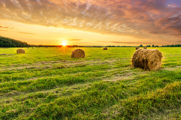 Scenic view at beautiful spring sunset in a green shiny field with green grass and golden sun rays, deep blue cloudy sky on a background , forest and country road, summer valley landscape