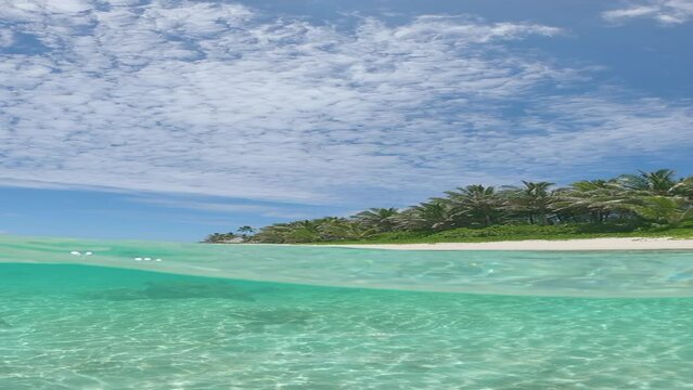 VERTICAL HALF UNDERWATER: Idyllic vertical shot of empty exotic sandy beach on a perfect summer afternoon. Lush palm trees look over the tropical white sand shore and the breathtaking turquoise ocean.