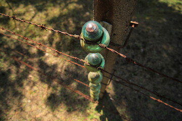 Power or telephone wires 1 © Maciej
