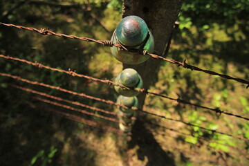 Power or telephone wires 2 © Maciej