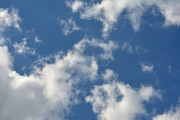 Fototapeta premium Clouds in the blue sky .