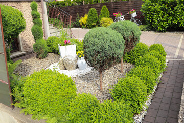 Beautiful gravel garden with different plants in yard
