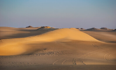 Fototapeta na wymiar sand dunes in park