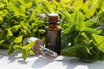 Peppermint, Garden mint, Bush mint, Menthol mint in the garden.Geopathy, medicinal tincture.Pipette and vial