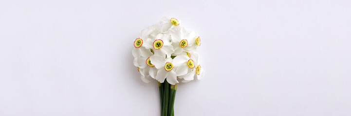 Daffodils on a light background. Banner