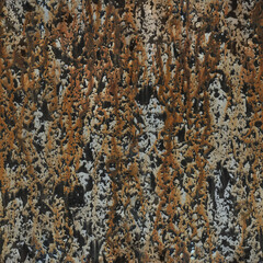 Old rotten texture or pattern.