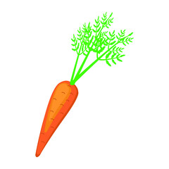 Vector illustration of fresh carrots. Organic farming banner. Harvest festival. Fresh organic produce from the local farmer's market. Vector illustration.