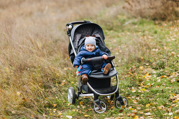 A beautiful, cute baby in a blue overalls and a hat sits in a baby carriage in the fall against a background of yellow leaves.
