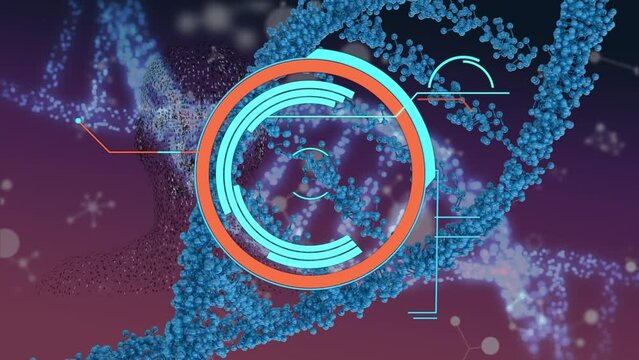 Animation of processing circle, dna and data processing on purple background
