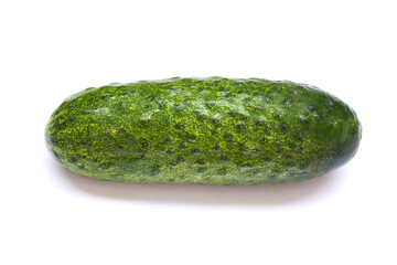 green cucumber lies on a white background