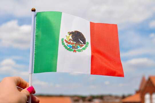 national green white and red flag of Mexico with eagle close up