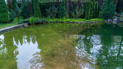 Small garden pond with many decorative plants. Nature concept for design. Small pond on a summer day in the garden.