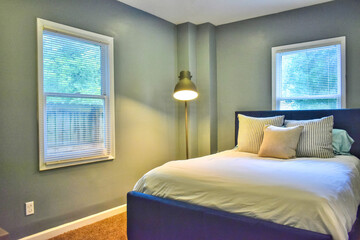 A master bedroom with two windows 