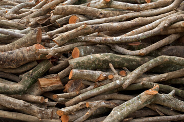 Stack of sawn timber logs to serve as firewood