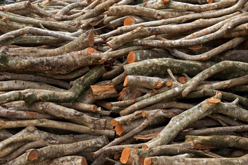 Stack of sawn timber logs to serve as firewood
