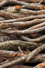 Stack of sawn timber logs to serve as firewood