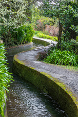 Fototapeta premium beautiful Madeira landscape