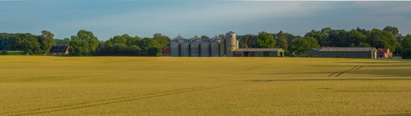  Landscape with a corn field and an agricultural silo and a settlement in the background. Panorama...
