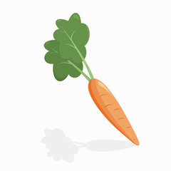Carrot cartoon vector illustration