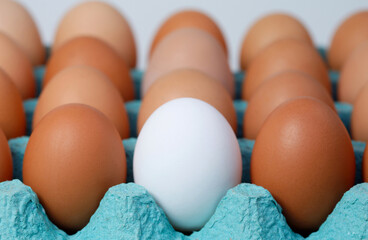 Single white egg among brown eggs