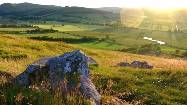 Slow Motion Grasses During A Golden Sunset Over A Beautiful Rural Valley In Ireland