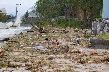 debris on a beach after a storm